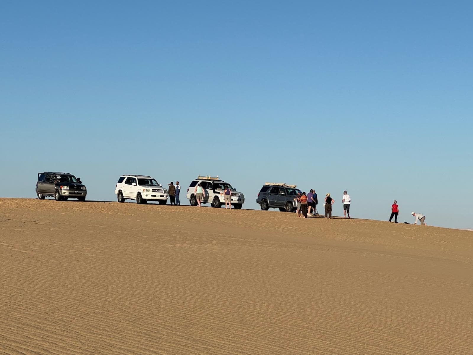 Safari nel deserto del Sahara