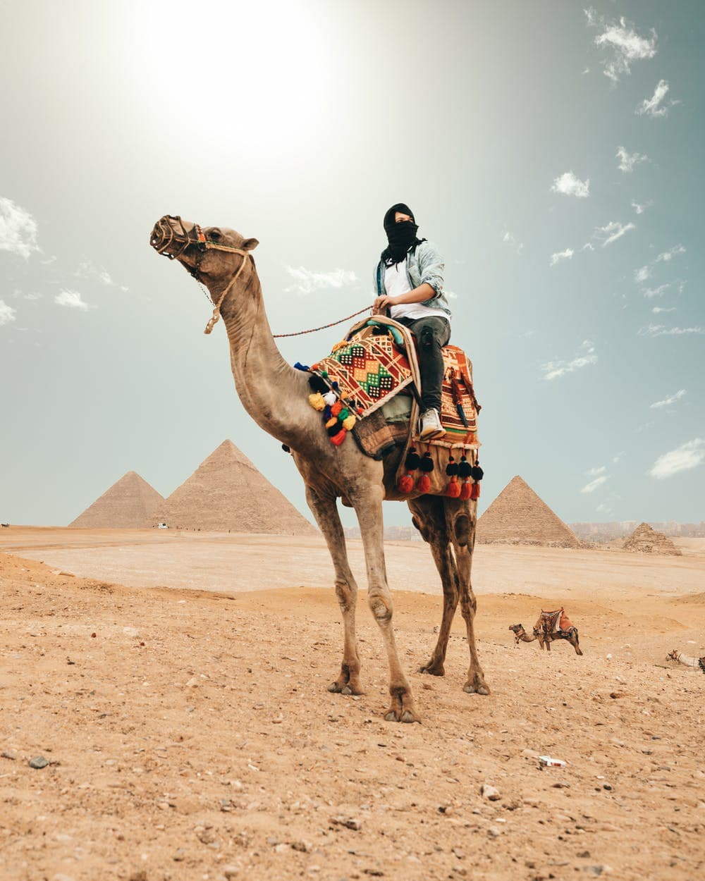Egitto in 10 Giorni: Il Cairo e Crociera sul Nilo Preview Image 2