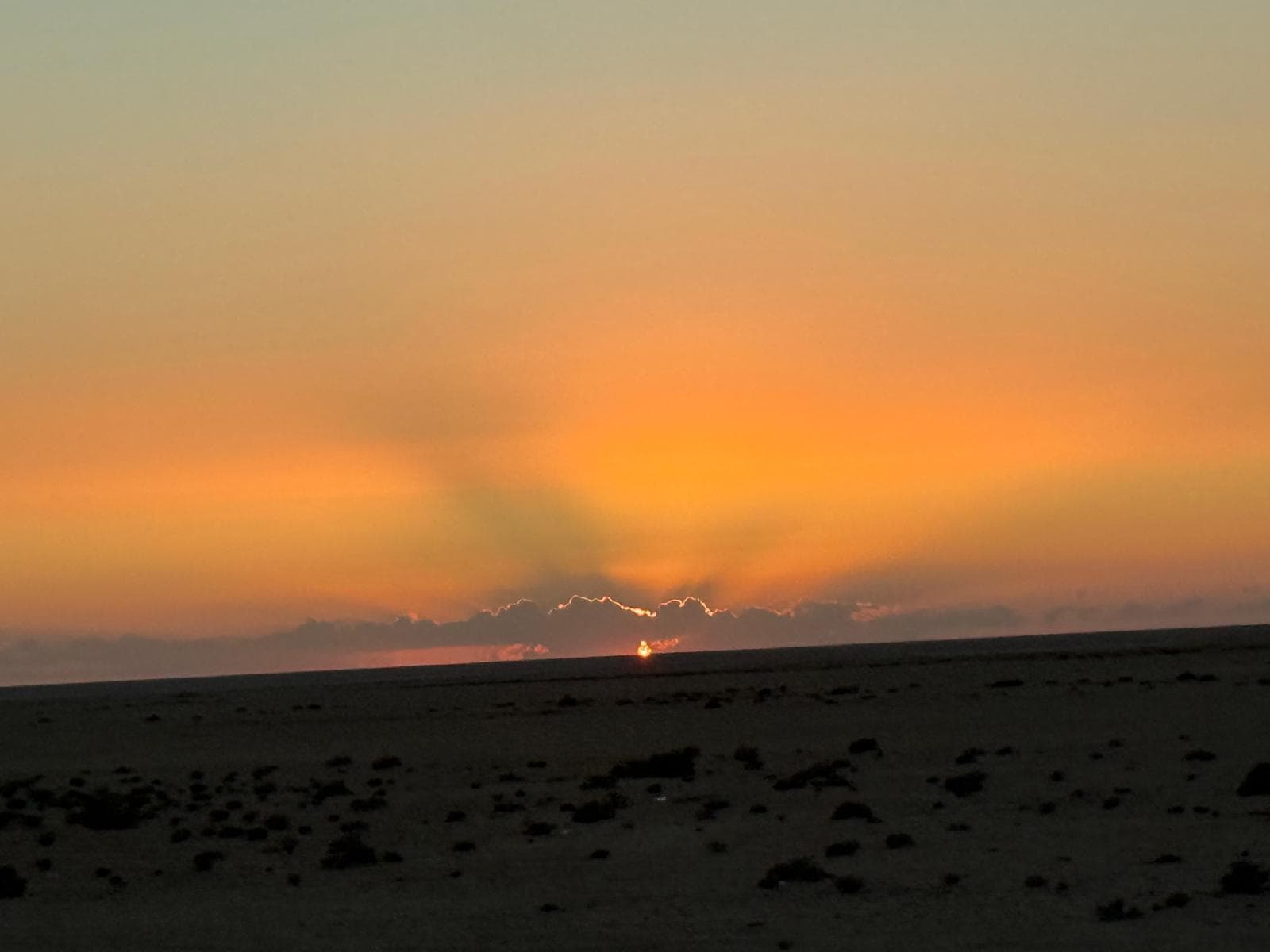 Safari nel deserto del Sahara Preview Image 2