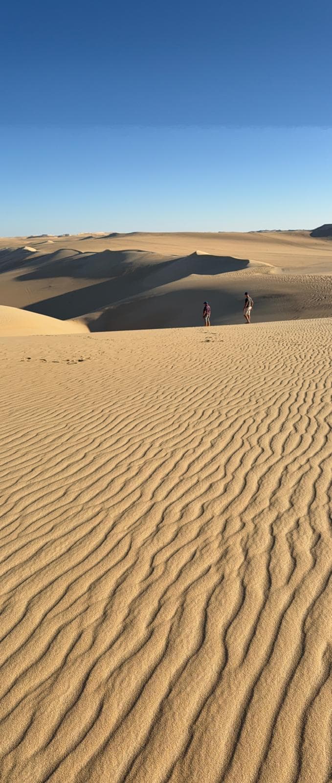 Safari nel deserto del Sahara preview