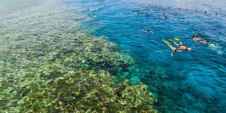 Elphinstone Reef: snorkeling e immersioni a Marsa Alam preview