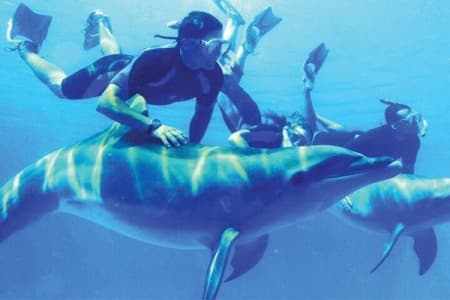 Snorkeling a Sha'ab Samadai (Dolphin House) a Marsa Alam preview